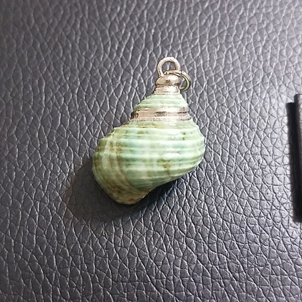 Seashell charm